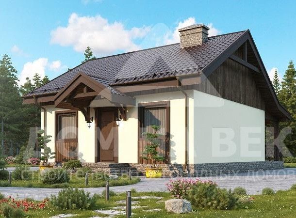 Проект z60